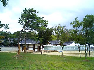 CA260866.jpg