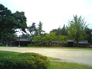CA260868.jpg